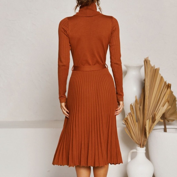 Pumpkin Orange Turtleneck Knit Belted Dress - Picture 3 of 16